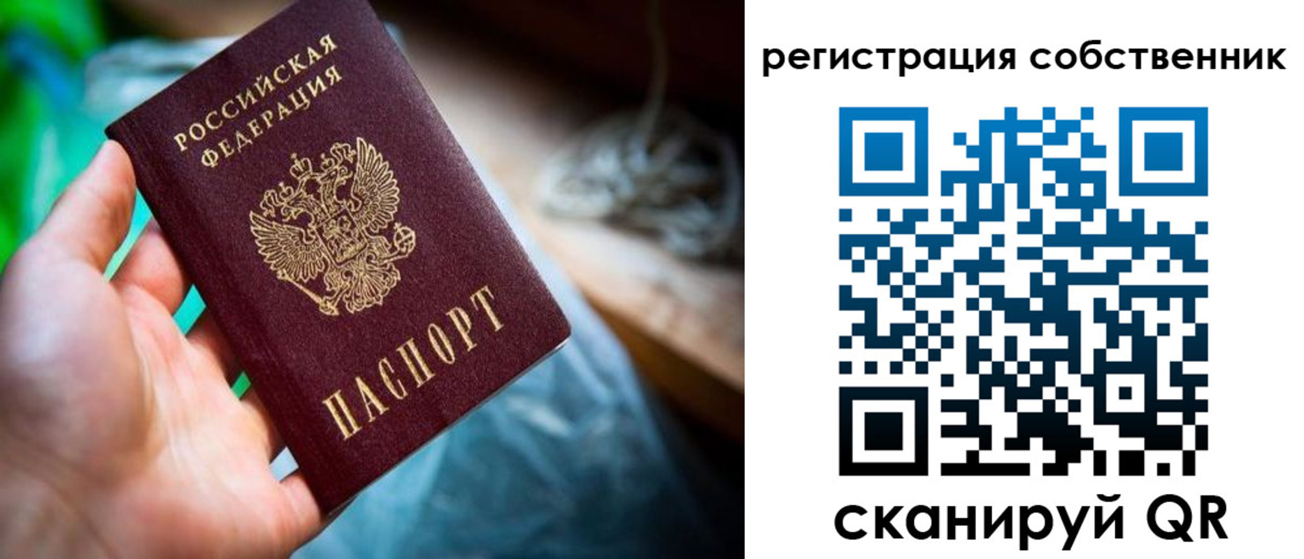 прописка гарантия в Алагире